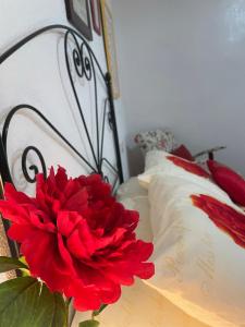 Casa Veva Tradición- Siles-
