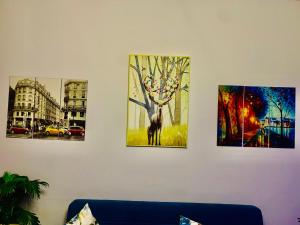 Apartment with a private garden in New Cairo