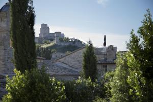 Via Eremo Delle Carceri 1A (Piazza Giacomo Matteotti) 
 06081 Assisi, Italy.