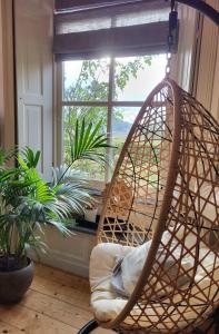 De Bloesemstee - Rustic Manor Farmhouse The Netherlands