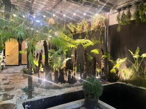 Kim Đồng homestay