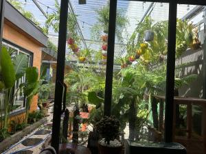 Kim Đồng homestay