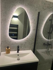 Appartements Le Solferino toulouse centre : photos des chambres