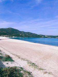 APPARTAMENTO SUL MARE CON TERRAZZA img11