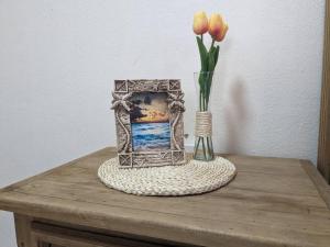 Estudio Balandra cerca del aeropuerto SJD