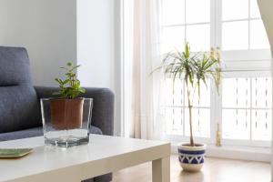 Apartamento Jacaranda