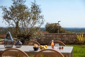 Rustic Villa Reichardia with a pool in Istria