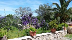 Manto Studios Arkadia Greece
