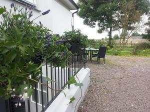 Lägenhet Lillisgården