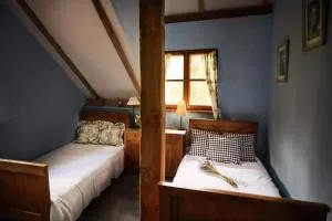 Siedlisko pod dębem Kalnik - Kalnik