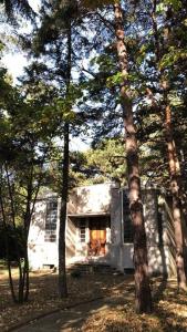 Studio apartment Duda