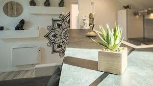 Appartements Riverside - Charme et Confort : photos des chambres