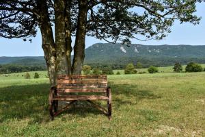 Holly Tree Retreat Located In Beautiful Luray, VA.