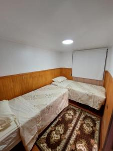 Departamento interior 2 Villarrica Céntrico