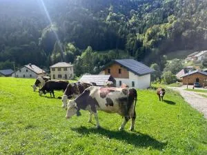 Villa luxueuse avec sauna et jacuzzi - Habère-Lullin