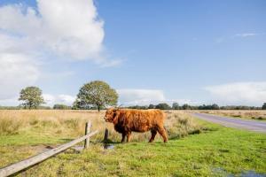 Leva - Logeren in Drenthe