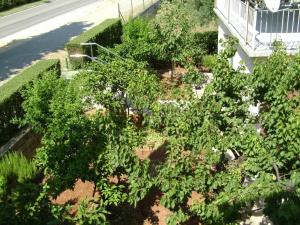 Apartmani Tome