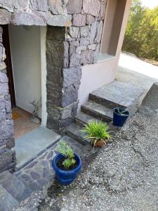 Al mare nella natura selvaggia img14