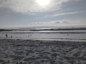 Cabañas doña carmen