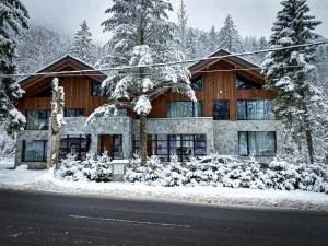 Jasna Boutique Chalet - 帕维西纳勒霍塔