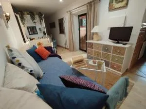 Casa Altuna - 皮诺斯赫尼尔