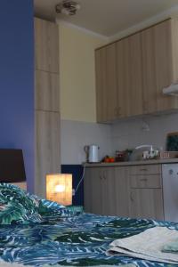 Center Apartment Dunja