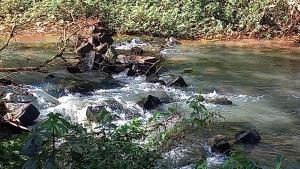 Cabañas arroyo Mbocai