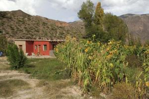 Macondo - Casas entre cerros
