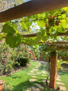 Pousada Verdes Encantos