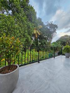 Syndeo Garden