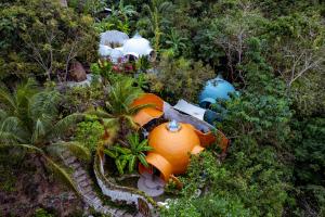 Jungle KingDomes Guest House