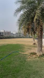 pearls suits and resorts