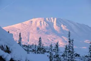 Gausta Lodge med elbillader, nærhet til Gaustatoppen Ski in ski out