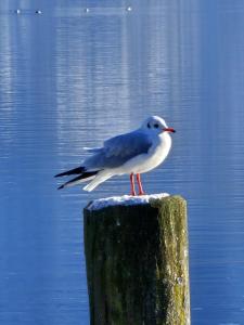 Ferienhaus Frankenmarkt
