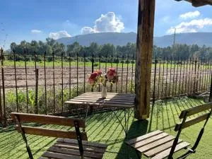 בוסתן החורש - Ramat Hadassah