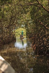 Hotel San Pedro de Majagua