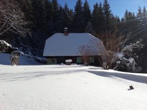 Cosy & peaceful cabin off the grid 