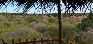 Mamba Yala