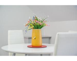 Central Belfast Apartments Utility Street