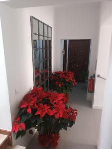 Suites Casa San Mateo