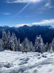 Apartment Wiesenbauer - Chiemgau Karte