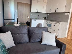 Krkonoše - apartmán s výhledem