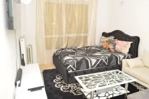 Cheap Professional Beautiful Studio Apartment - 博比尼