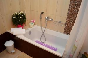 Meltemi Beach Apartments 2