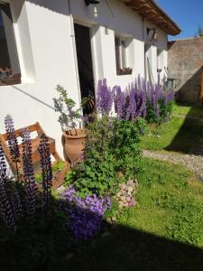 Capriche Departamento Temporario