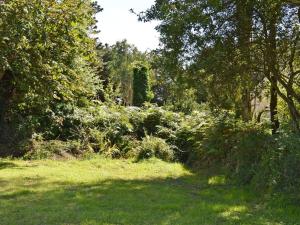 Maison 4 pers avec jardin, wifi et parking 800m de la plage - Pleumeur-Bodou - FR-1-542-39