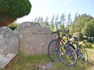 Maison 4 pers avec jardin, wifi et parking 800m de la plage - Pleumeur-Bodou - FR-1-542-39