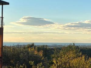 ormanın içinde geniş havuzlu triplex villa