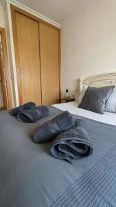 Los libros de Toñi - Águeda del Caudillo