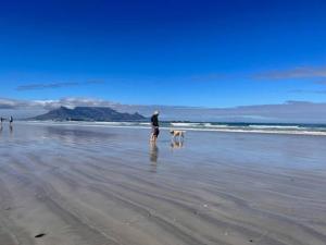 Lovely Garden Studio1 - 10 minute walk from beach